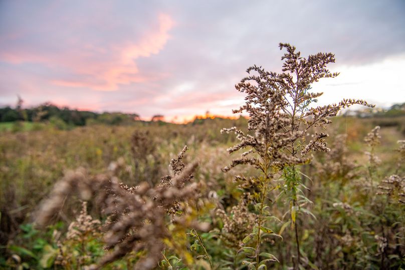 Pike IL 186 Speckhart Pro Photo-74