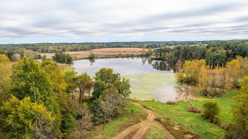 Pike IL 186 Speckhart Pro Photo-71