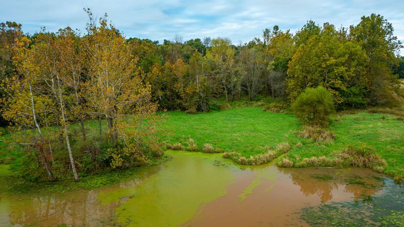 Pike IL 186 Speckhart Pro Photo-89