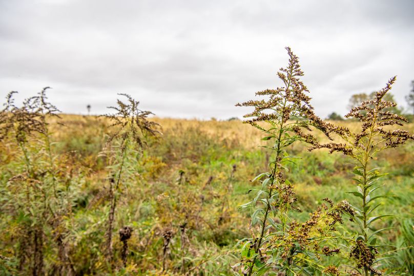 Pike IL 186 Speckhart Pro Photo-31