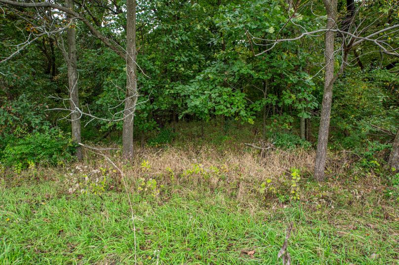 Pike IL 186 Speckhart Pro Photo-79