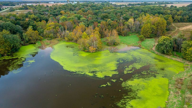 Pike IL 186 Speckhart Pro Photo-94