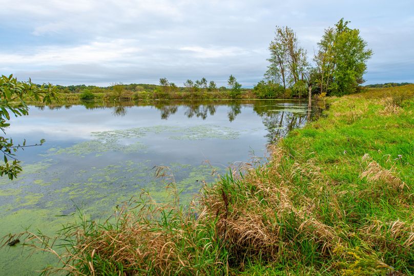 Pike IL 186 Speckhart Pro Photo-83