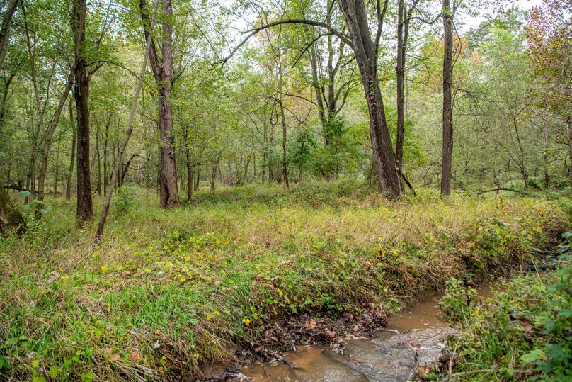 Pike IL 186 Speckhart Pro Photo-45