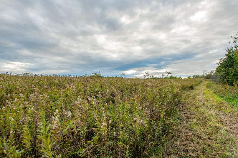 Pike IL 186 Speckhart Pro Photo-81