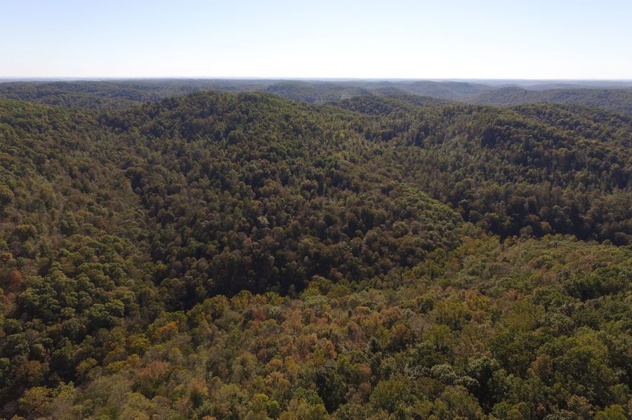 DJI_0012