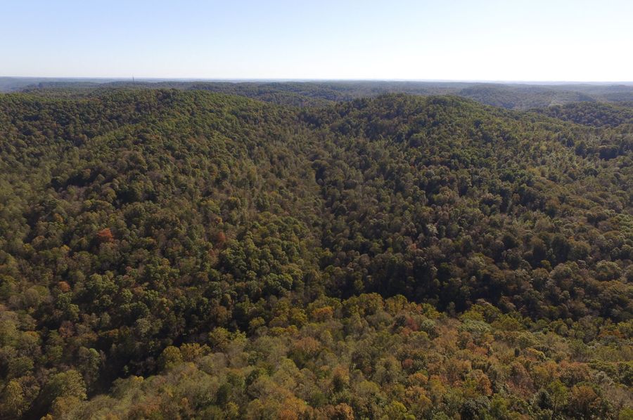 DJI_0011