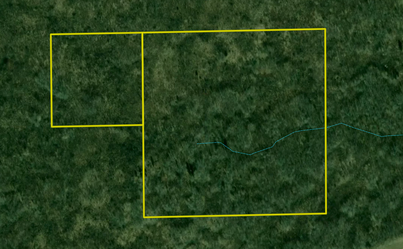 Screen Shot 2021-10-22 at 2.55.49 PM