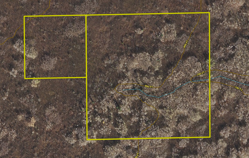 Screen Shot 2021-10-22 at 2.56.27 PM