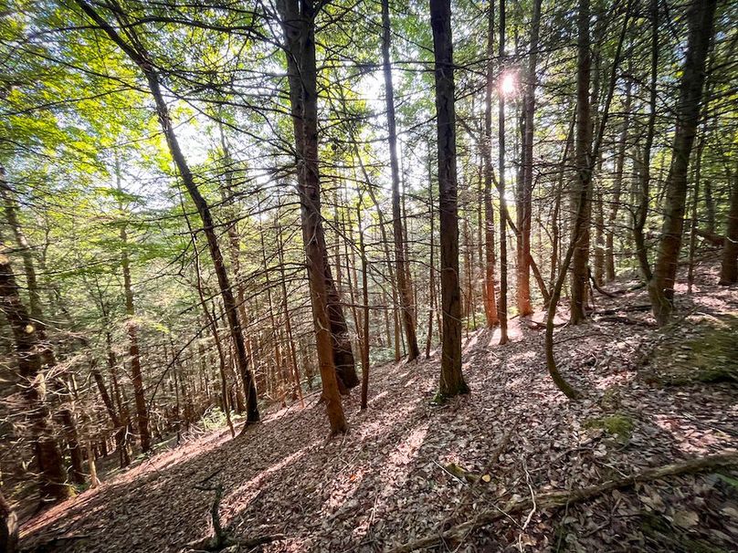 Tioga_82.5_Williams_Photos_40