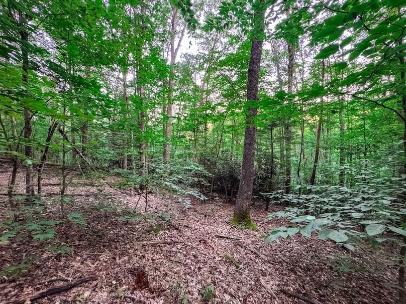 Webster, WV 42 AC Barger-13