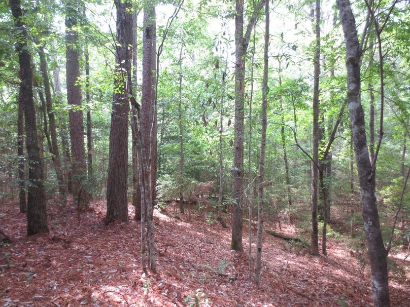 4B17157A-7F03-4706-9217-2E28EFDCC93D_1_105_c