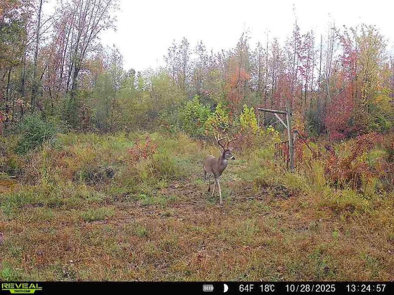 860516067719439-70-4-10282025132458-W1016718