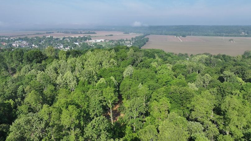 dji_fly_20240516_093422_0017_1715866834991_photo