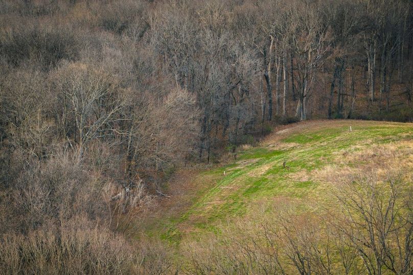 DJI_20260324173925_0017_D