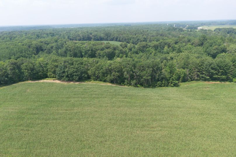 PANO0009