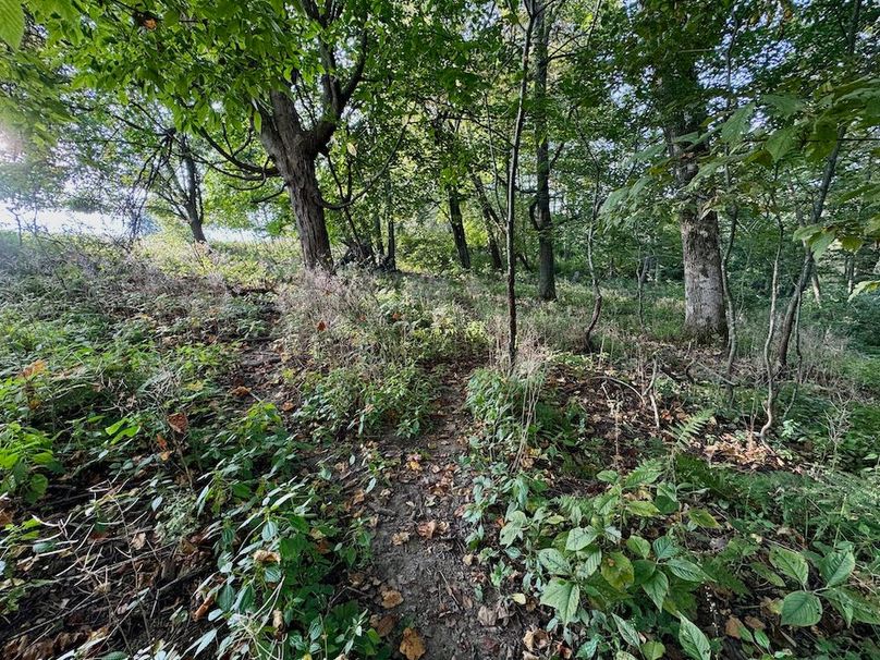 Richland 199Ground - 39