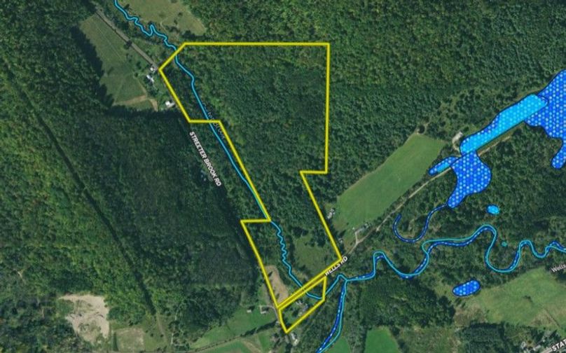 Mapright Bluhm Wetlands