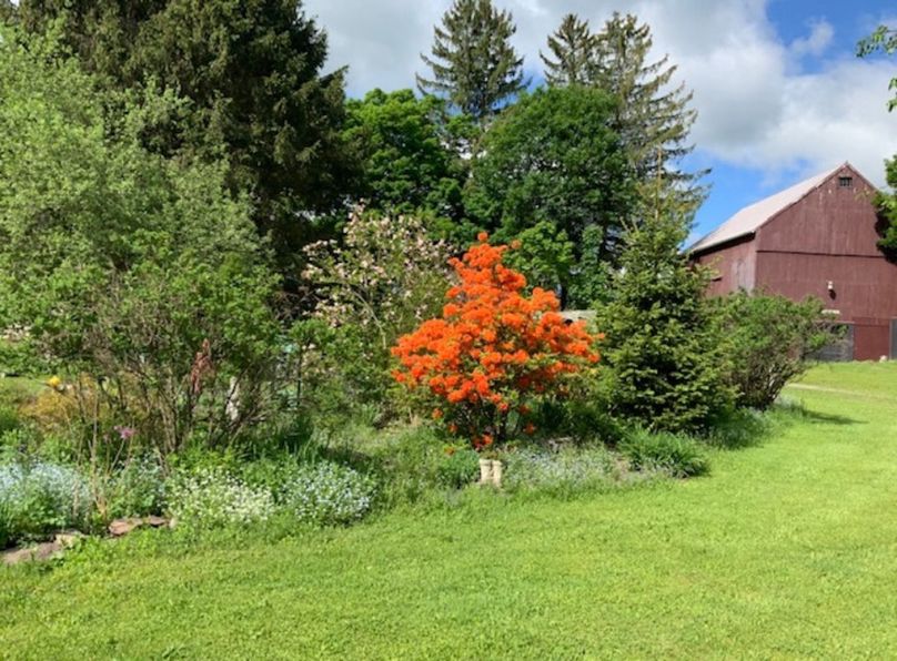 6A2B Boerner Redo 10