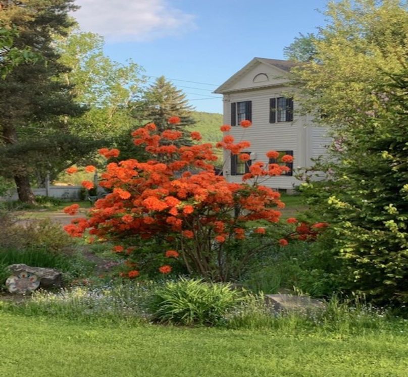 1 Main Photo Boerner Redo 3