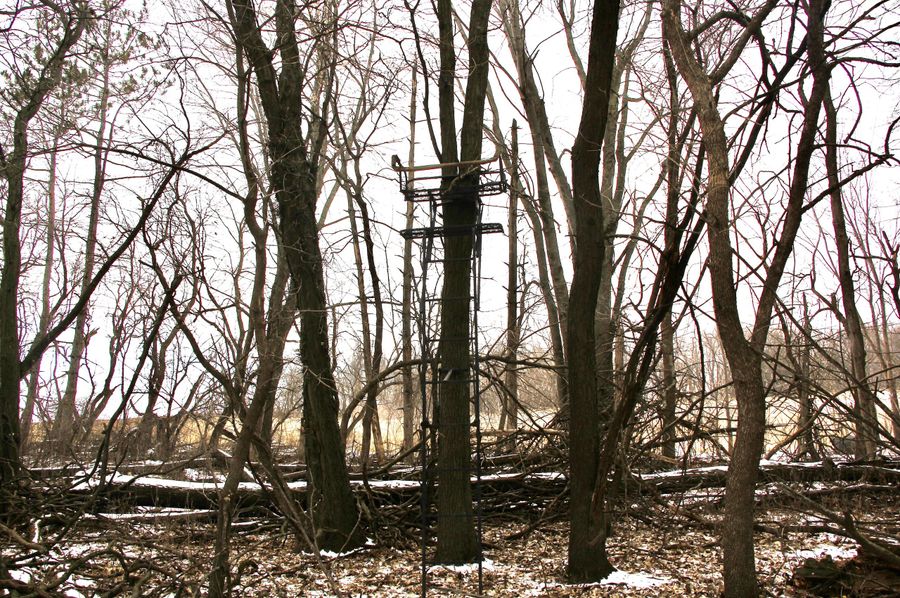 Pic 4 - Ladder Stand