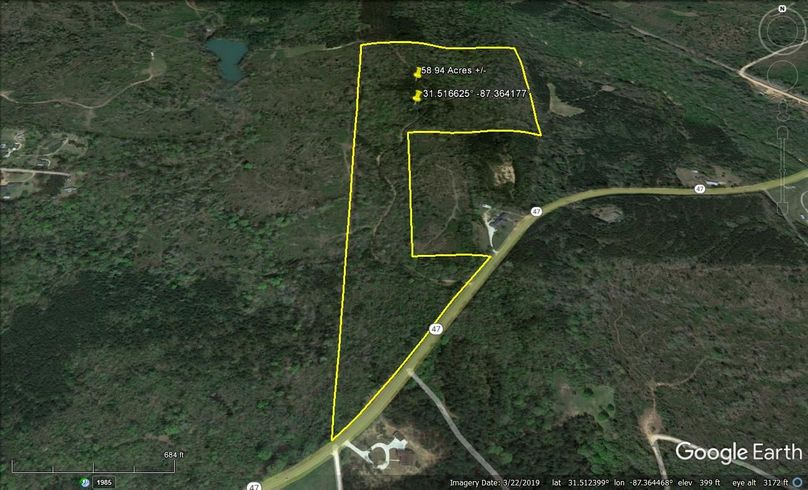 Aerial #2 Approx. 58.94 Acres Monroe County, AL