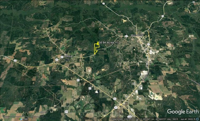Aerial #6 Approx. 58.94 Acres Monroe County, AL