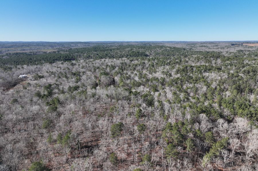 DJI_0212