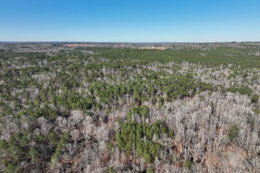 DJI_0211