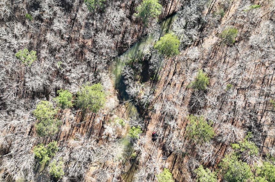 DJI_0214