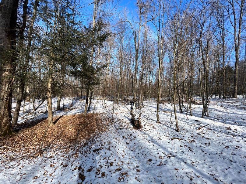 Tioga_98_Kolesar_Photos_3