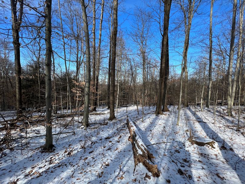 Tioga_98_Kolesar_Photos_10