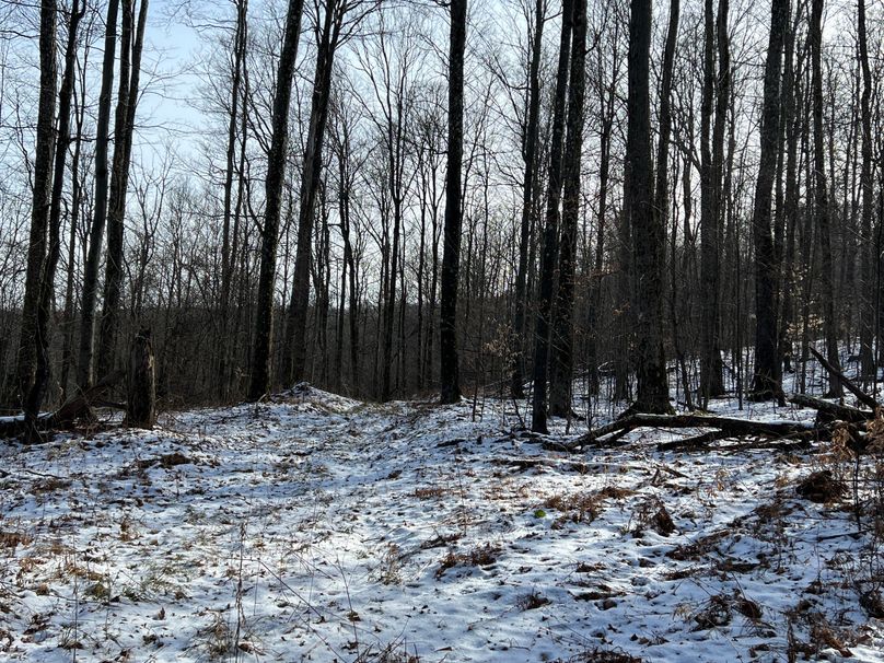 Tioga_98_Kolesar_Photos_16