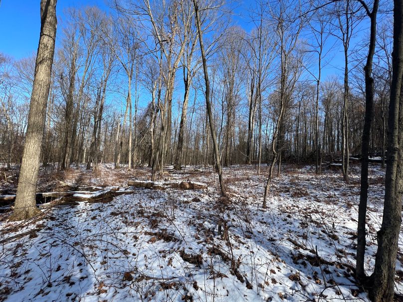 Tioga_98_Kolesar_Photos_2