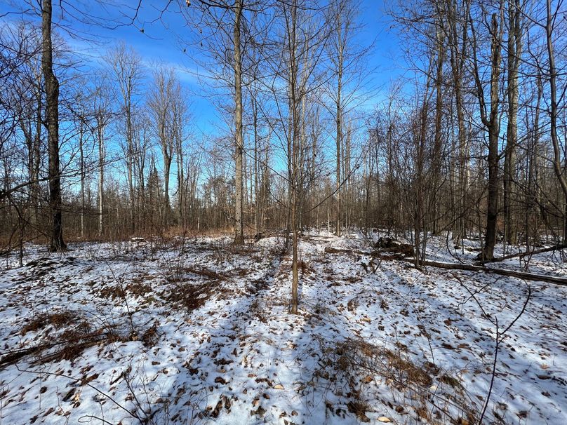 Tioga_98_Kolesar_Photos_18