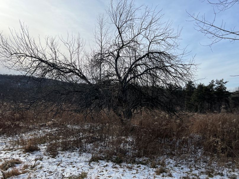 Tioga_98_Kolesar_Photos_33