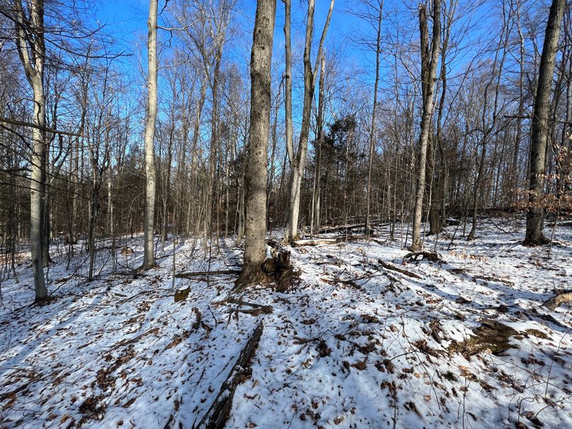 Tioga_98_Kolesar_Photos_13