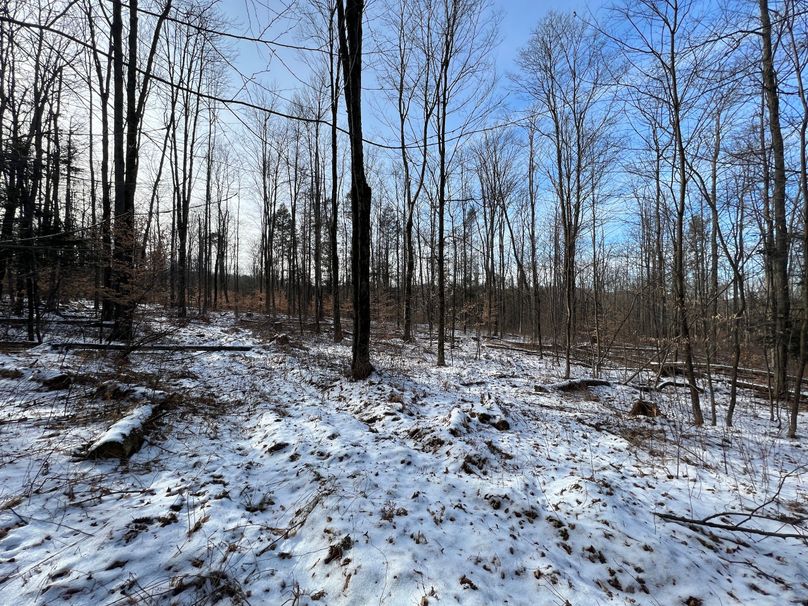 Tioga_98_Kolesar_Photos_23