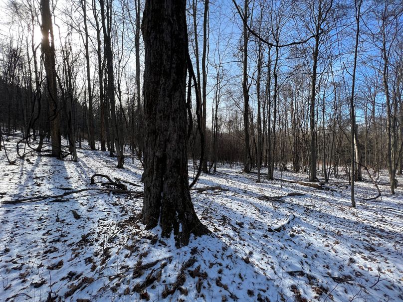 Tioga_98_Kolesar_Photos_1