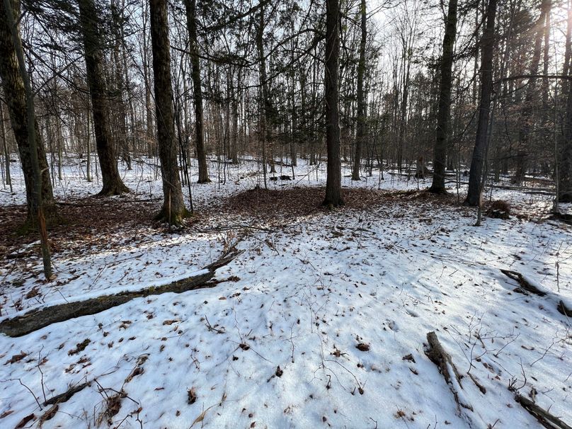 Tioga_98_Kolesar_Photos_22