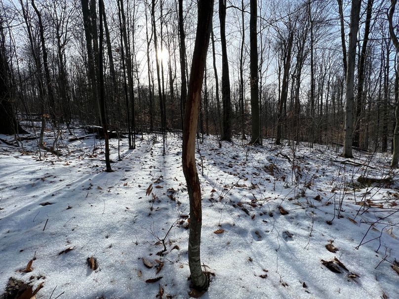 Tioga_98_Kolesar_Photos_21