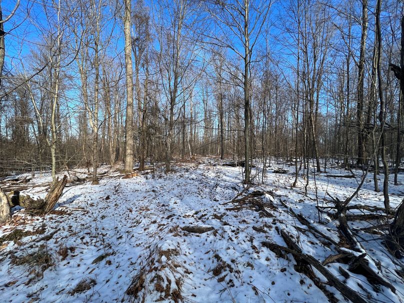 Tioga_98_Kolesar_Photos_5