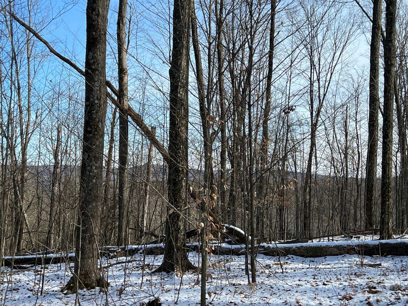 Tioga_98_Kolesar_Photos_15