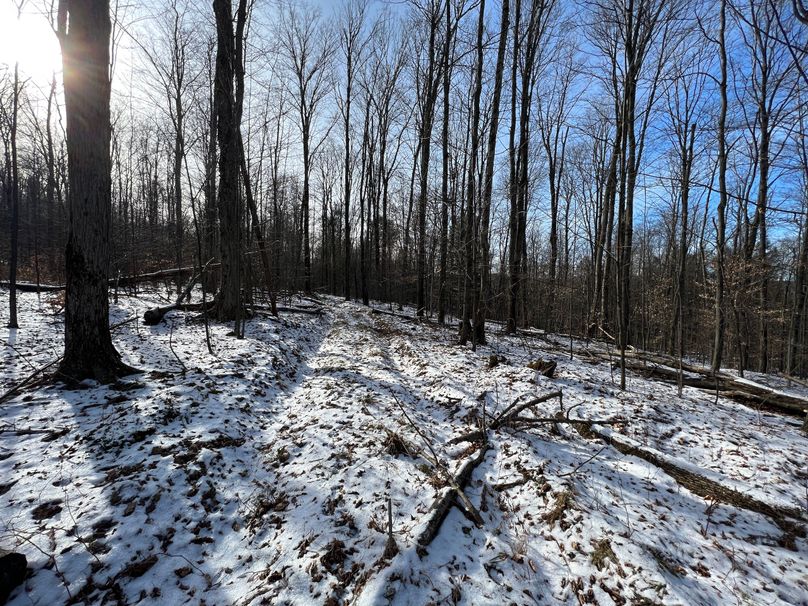 Tioga_98_Kolesar_Photos_19