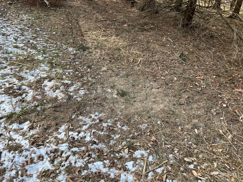 Tioga_98_Kolesar_Photos_28