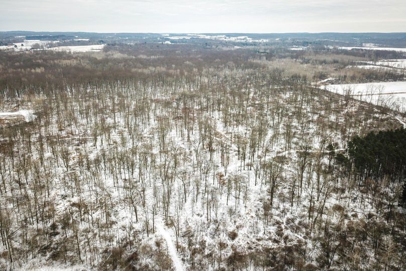 22 Newaygo 60 Drone-2