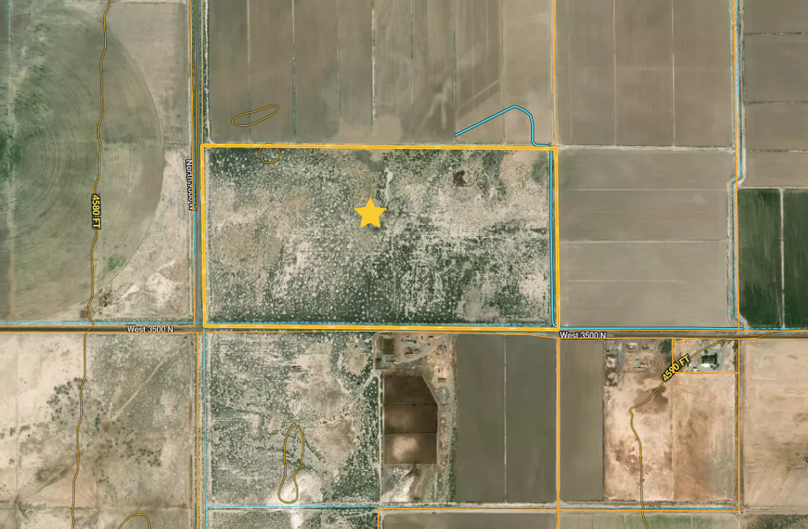 Screen Shot 2022-01-18 at 9.24.51 AM