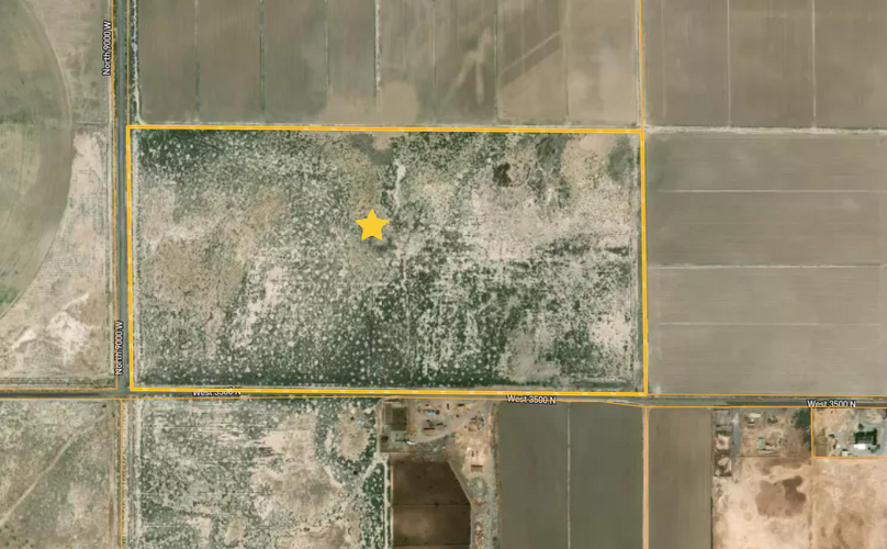 Screen Shot 2022-01-18 at 9.24.32 AM