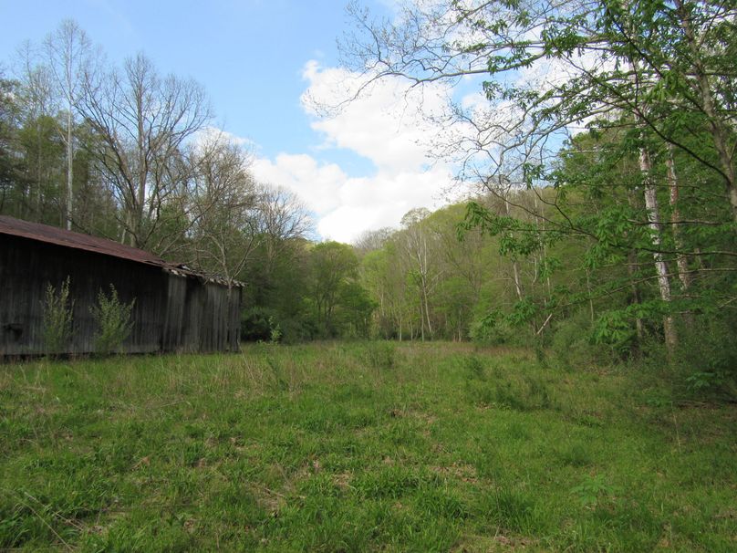 field by barn