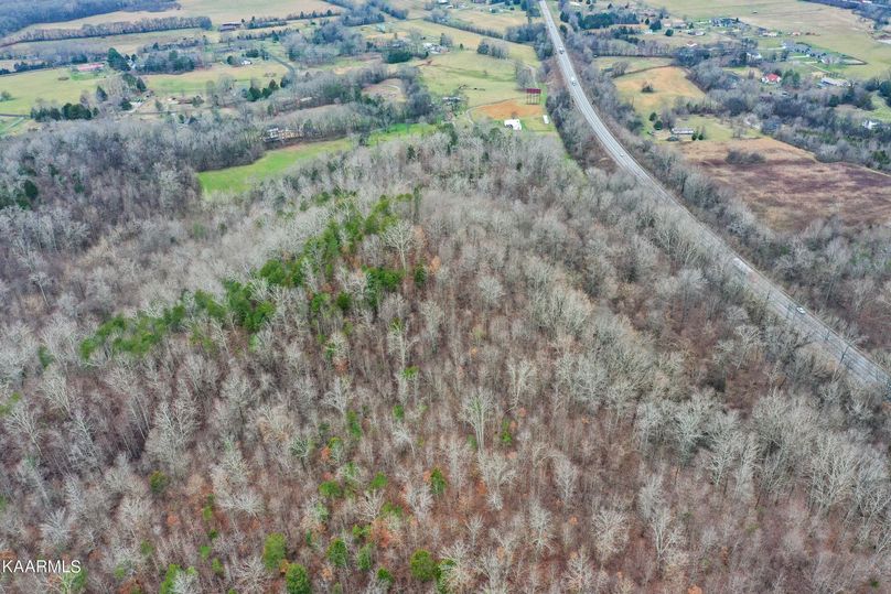 20220118185916665581000000-o